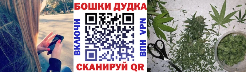 Купить закладку Псилоцибиновые грибы  Канабис  Alpha-PVP  Меф  Cocaine  Гашиш  Солнечногорск