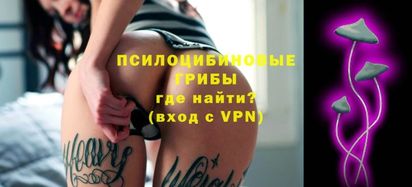 СК Волоколамск