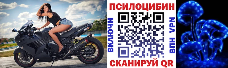 Псилоцибиновые грибы мухоморы Купить закладки Солнечногорск